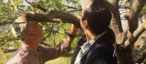 Emet'te 'Meyve Ağaçlarında Bitki Sağlığı' konulu eğitim verildi