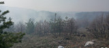 Günlücede Orman  Yangınında 2 Hektar Alan Zarar Gördü