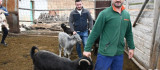 Keçi Peyniri Projesi ile Üretici Sayısını Artırıyor