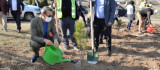 Milli Ağaçlandırma Gününde Emet İğdeköy 'de Fidanlar Toprakla Buluştu